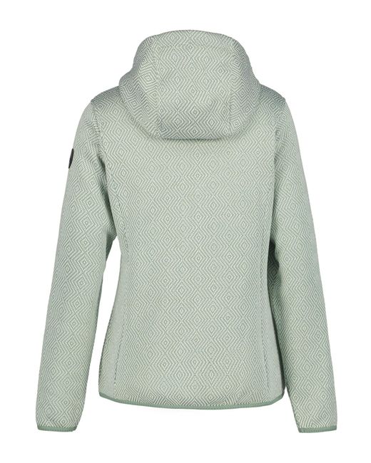 Icepeak Green Funktionsfleecejacke 'Adrian'