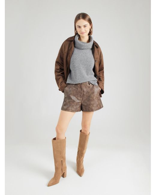 Comma, Gray Cape