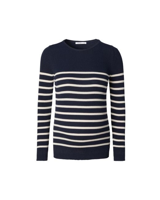 Noppies Blue Pullover