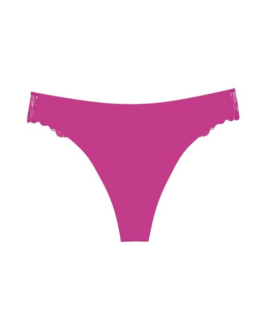 Triumph Purple String Label Pretty Micro