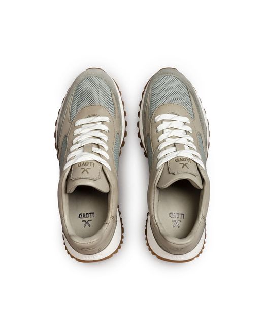 Lloyd White Sneaker Stella