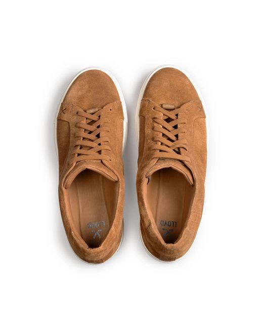 Lloyd Sneaker Metro in Brown für Herren
