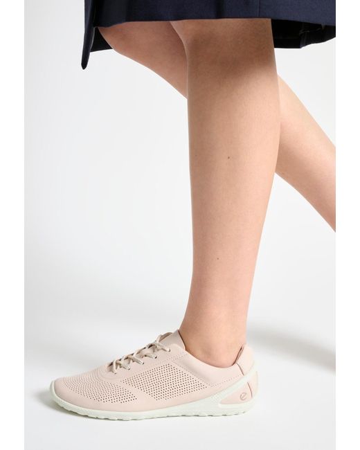 Ecco Black Sneaker