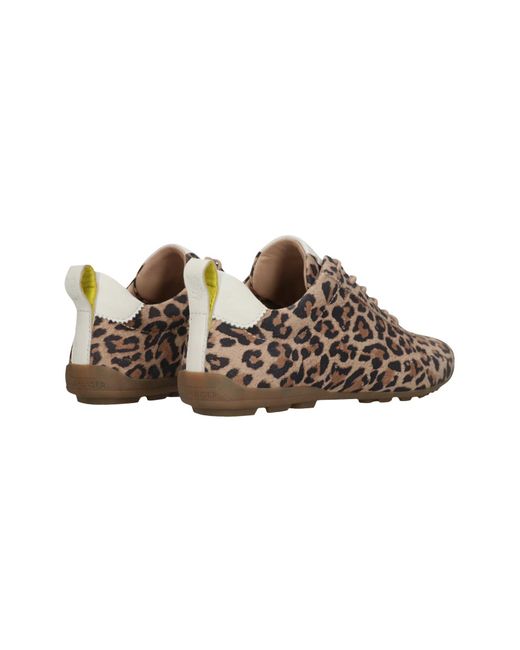 Salamander Brown Sneaker
