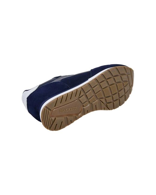 Hackett Sneaker Vector in Blue für Herren