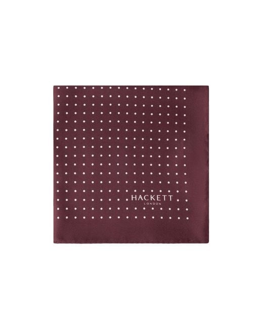 Hackett Tuch in Purple für Herren