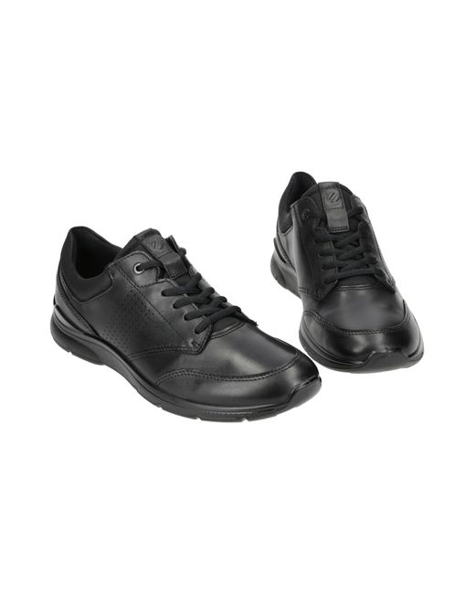 Ecco Schnürschuh in Black für Herren