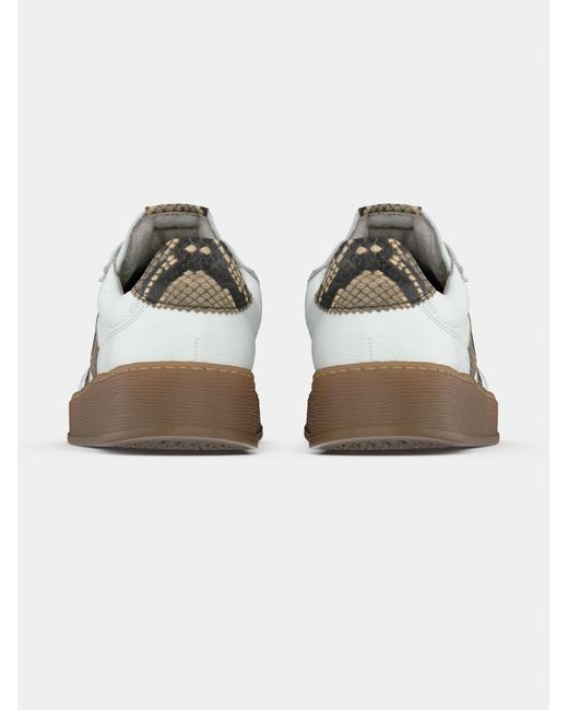 Gabor Metallic Sneaker