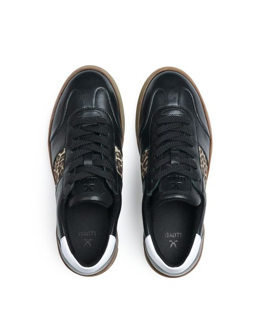 Lloyd Black Sneaker Aria