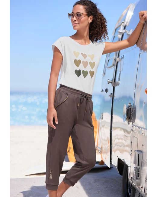 Venice Beach Brown Hose