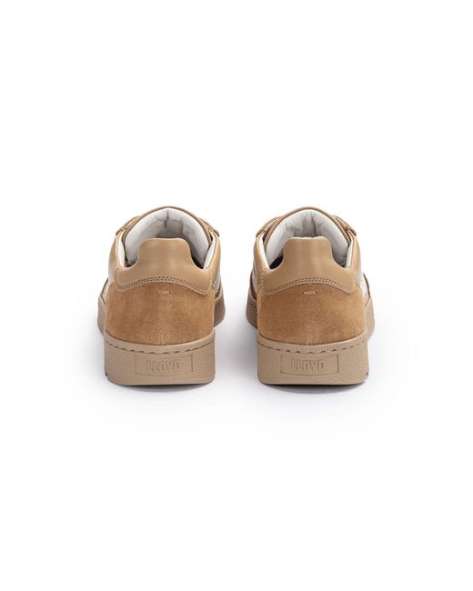 Lloyd White Sneaker Brava