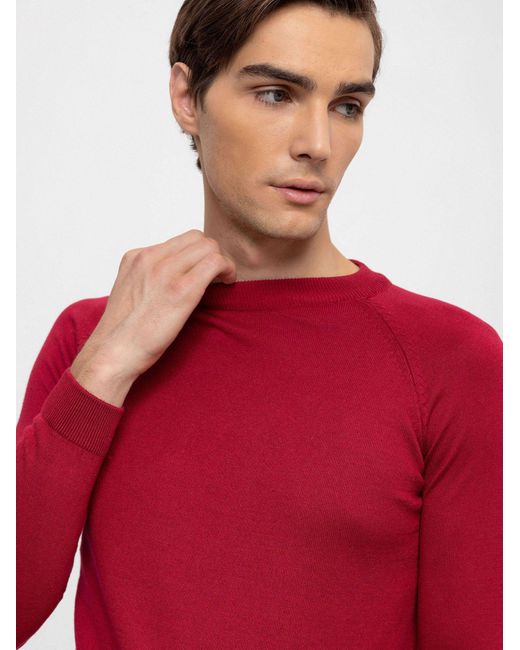 Antioch Pullover in Red für Herren