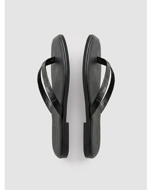 EDITED Black Sandale Willow