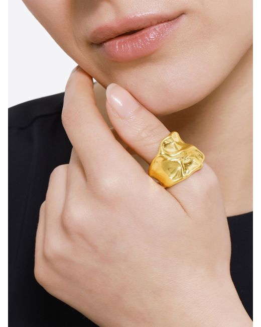 Heideman Metallic Ring Publio