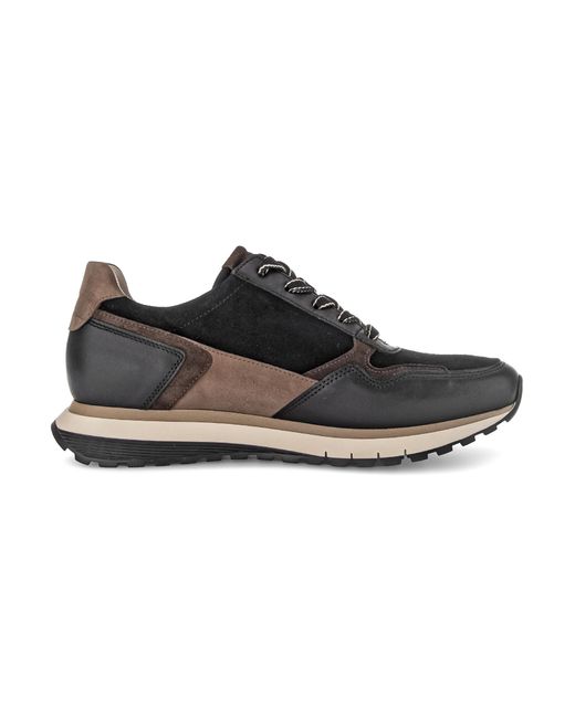 Gabor Black TURIN Keilsneaker, Freizeitschuh, Halbschuh, Schnürer in Komforweite H (sehr weit)