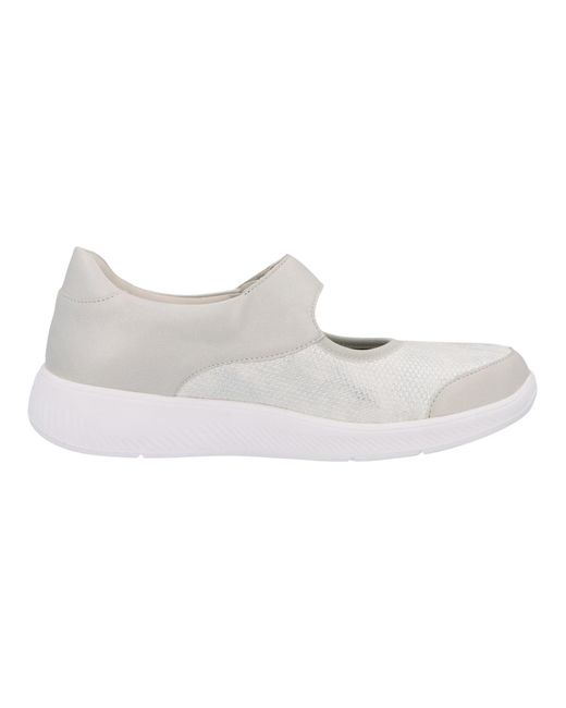 SOLIDUS Gray Ballerina Halea