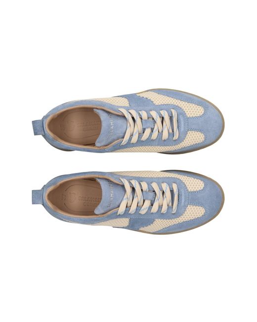 Salamander Blue Sneaker