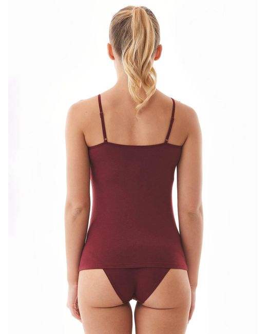 ORGANICATION Red Top