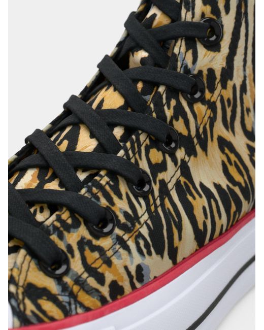 Converse Brown Sneaker Ctas