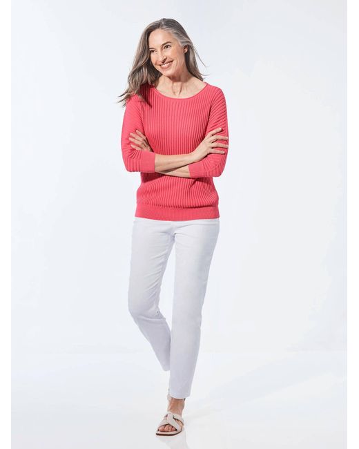 Goldner Pink Pullover