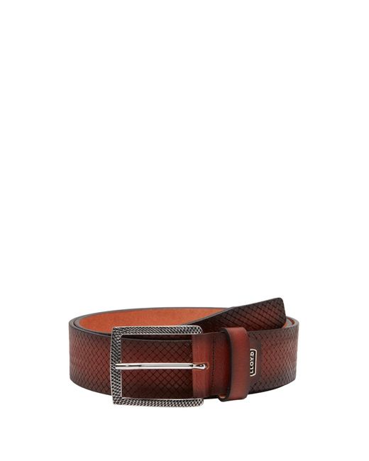 Lloyd-Belts Gürtel 0263 in White für Herren