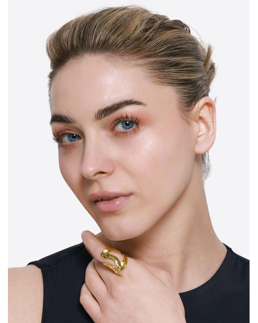 Heideman Metallic Ring Sabin