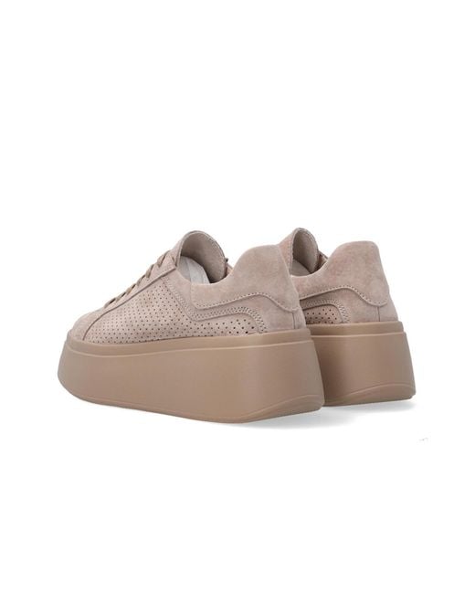 Venezia Blue Sneaker Low