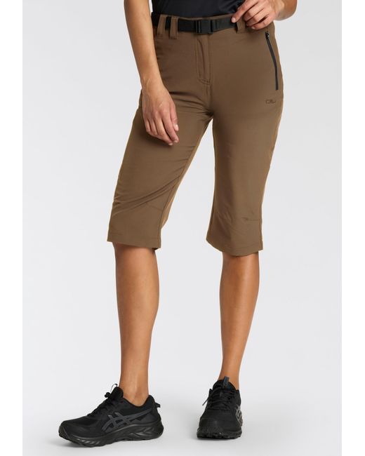 CMP Brown Hose