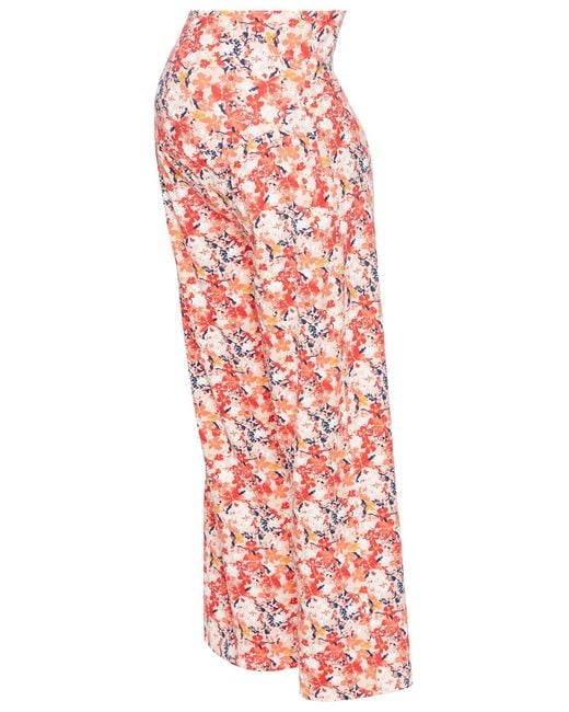Neun Monate Red Hose
