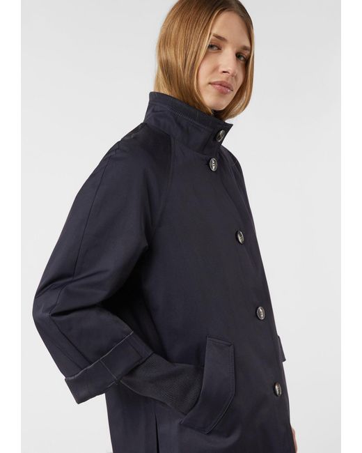 Comma, Blue Jacke