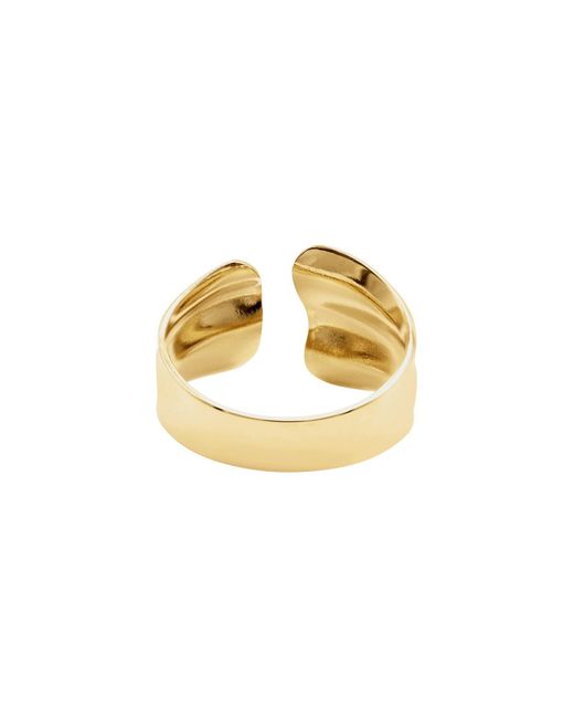 Heideman Metallic Ring