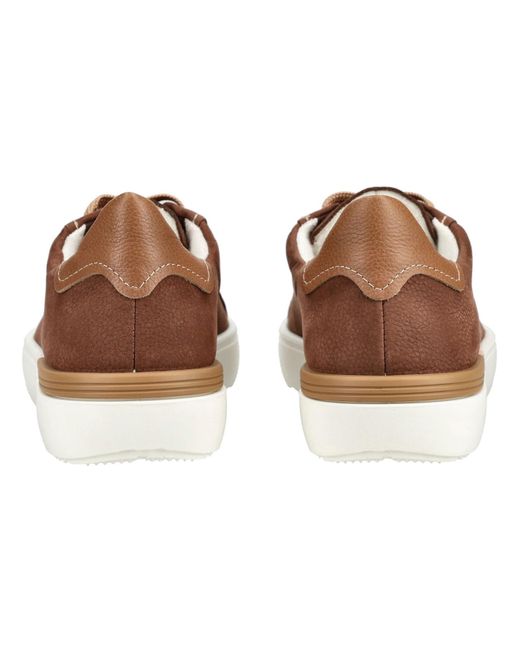 Ara Sneaker in Brown für Herren