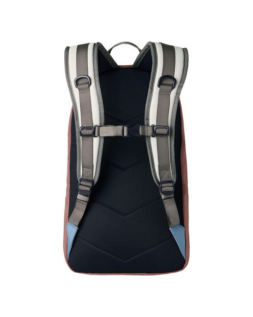 Dakine Blue Daypack