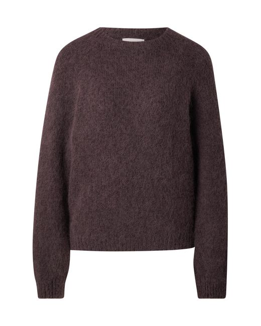 Noella Brown Pullover Latora