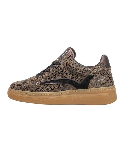 Floris Van Bommel Brown Sneaker Fygi 01
