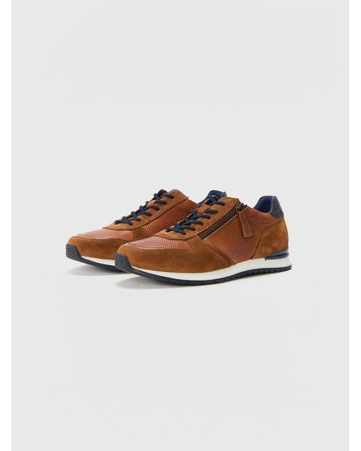 Salamander Sneaker in Brown für Herren