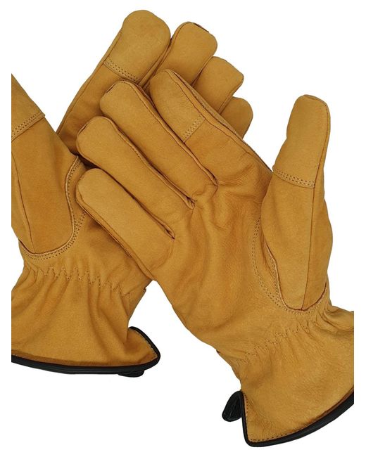 Glow Hamburg Fingerhandschuhe Fw02-06Xx-1 in Yellow für Herren
