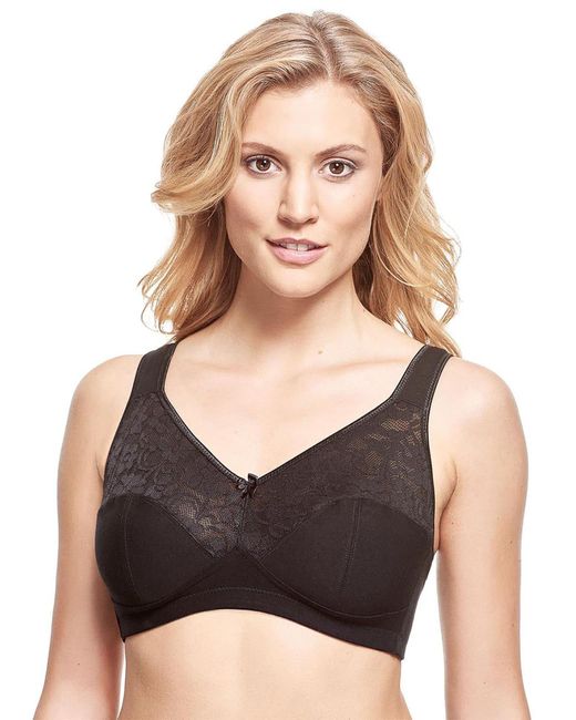 SUSA Gray Bh Basic