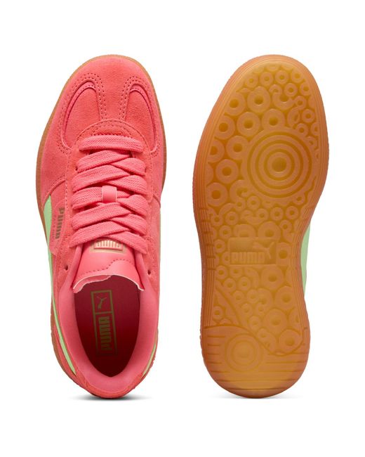 PUMA Red Sneaker 'Palermo Moda Xtra Gum'