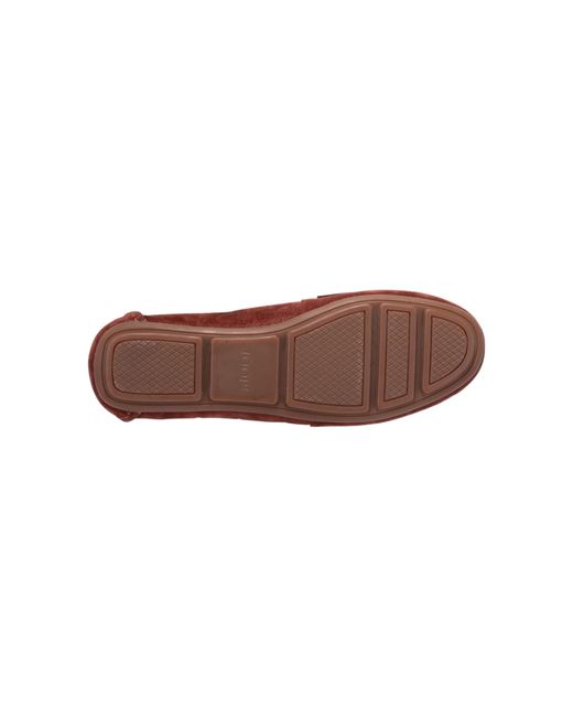 Joop! Brown Mokassin Miri