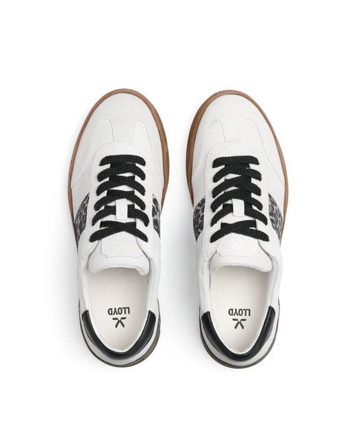 Lloyd White Sneaker Aria