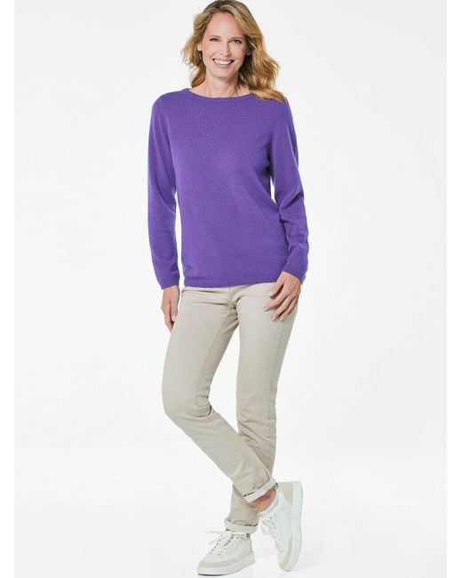 Goldner Purple Pullover