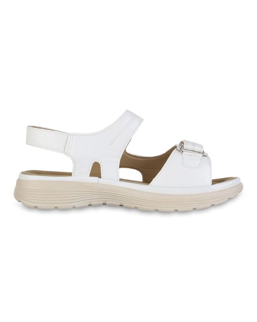 VAN HILL Multicolor Sandale 'Harper'