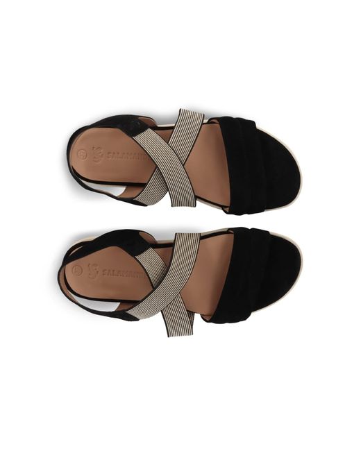Salamander Black Sandale