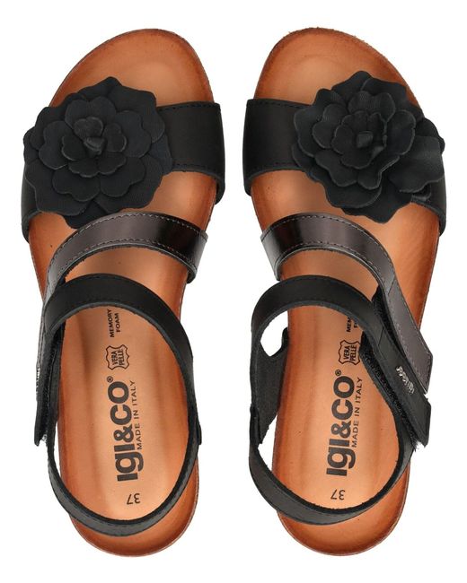 Igi&co Black Sandale