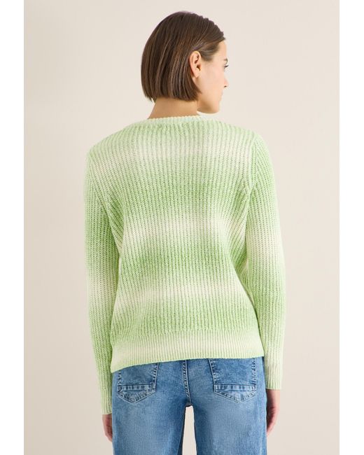 Cecil Green Pullover