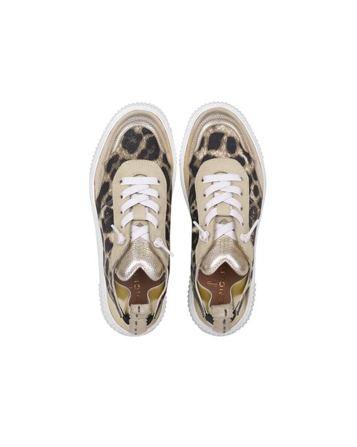 CRICKIT Metallic Sneaker Oakli
