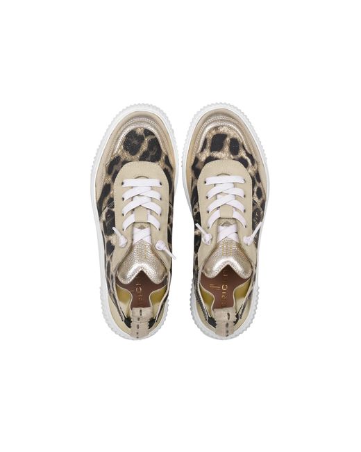 CRICKIT Metallic Sneaker Oakli