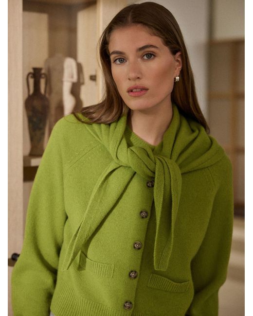Next Green Schall N.Premium