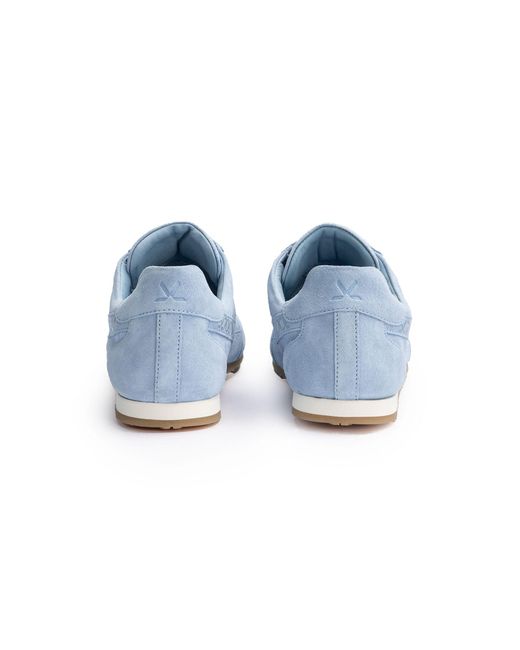 Lloyd Blue Sneaker Velocity